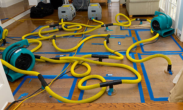 Professional Storm Water Damage Restoration technician working in Sipsey, AL